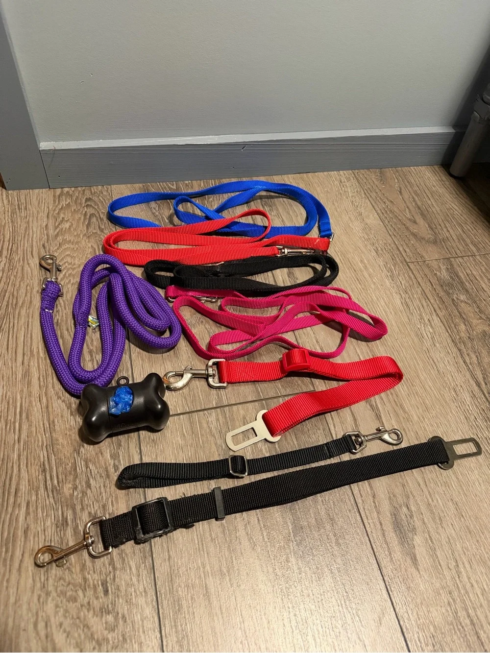Lot of dog leashes